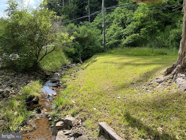 view of yard featuring a water view