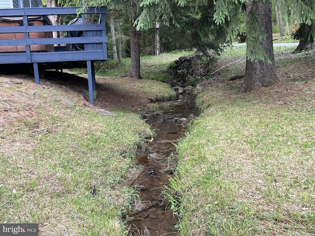 view of yard featuring a water view