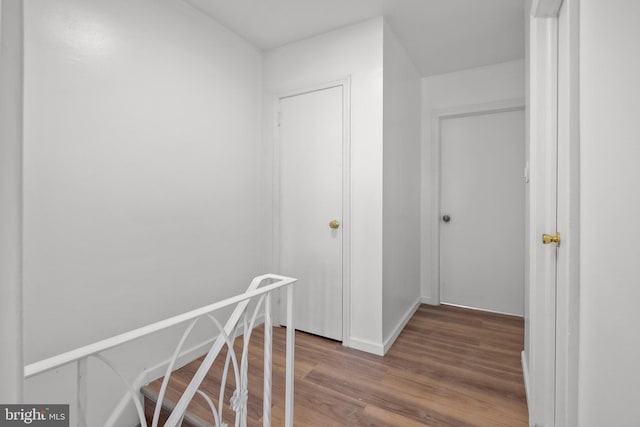 hallway featuring wood-type flooring