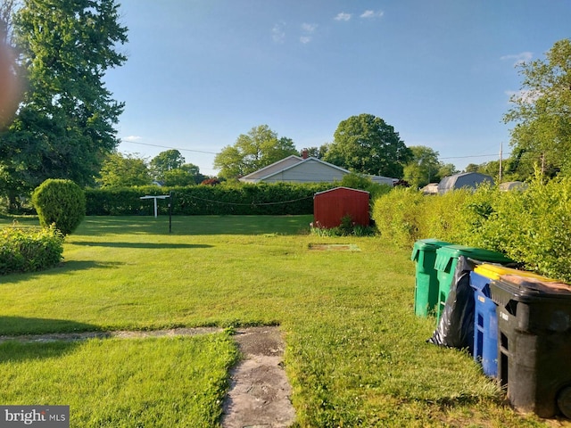 view of yard with a storage unit