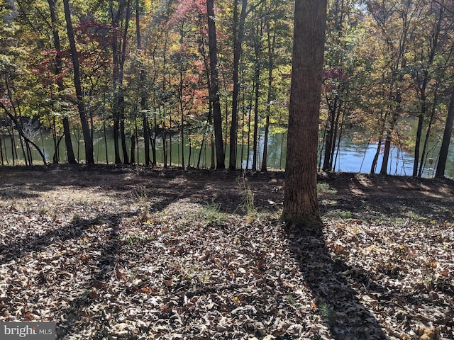 Listing photo 3 for Crestview Rd Lot 93, Wirtz VA 24184