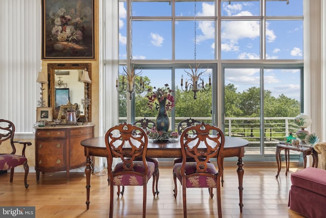 dining space with hardwood / wood-style floors