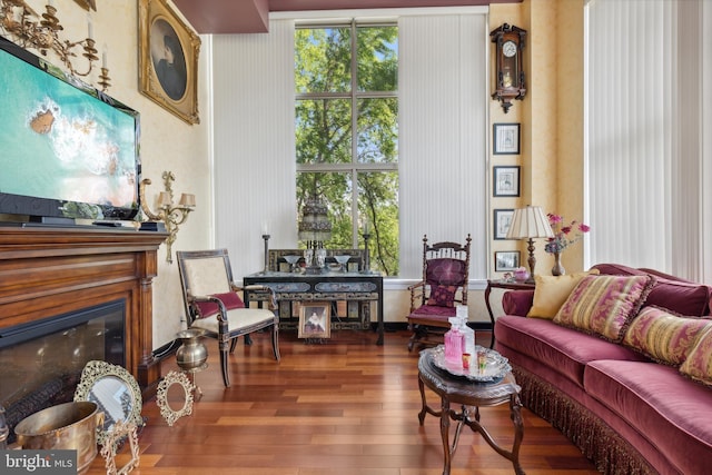 living room featuring hardwood / wood-style floors