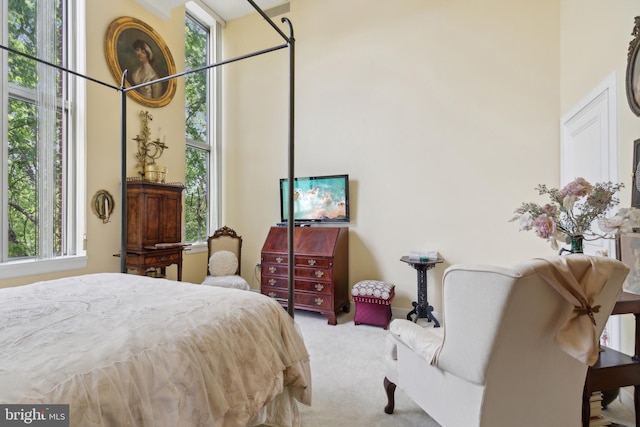 bedroom with carpet and multiple windows