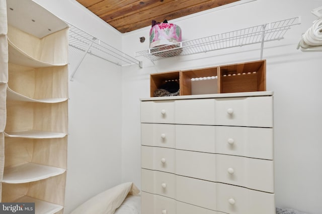 view of spacious closet