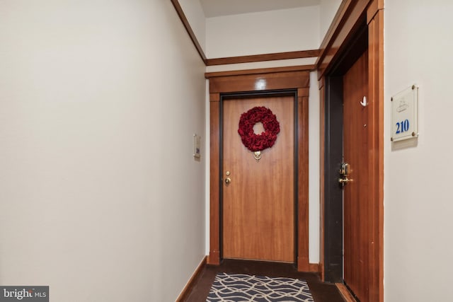 doorway to outside featuring dark wood-type flooring