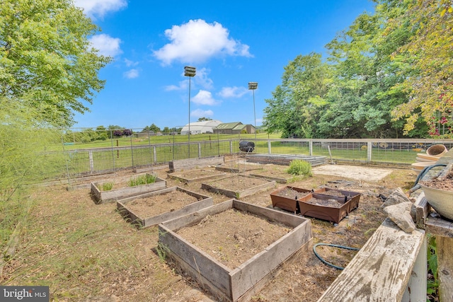 view of yard with a rural view