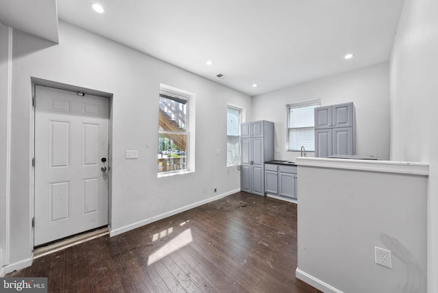 foyer with dark wood-type flooring