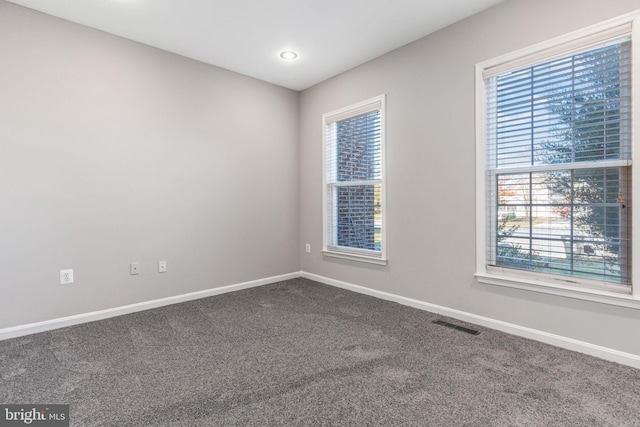 carpeted empty room with a healthy amount of sunlight