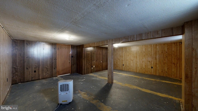 basement with wooden walls