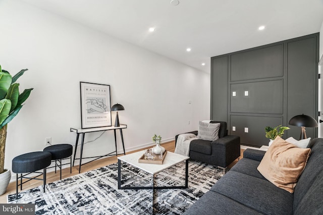 living room featuring light hardwood / wood-style floors