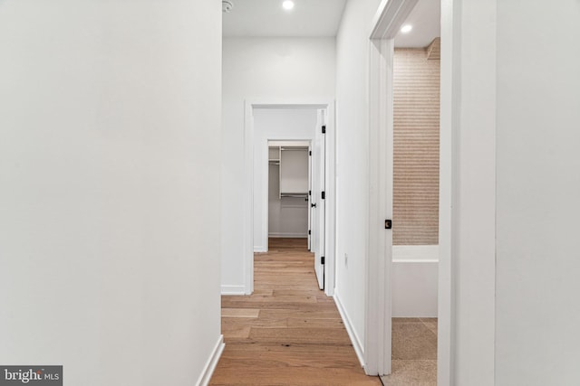 hall featuring light hardwood / wood-style floors