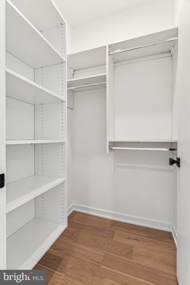 walk in closet with dark wood-type flooring