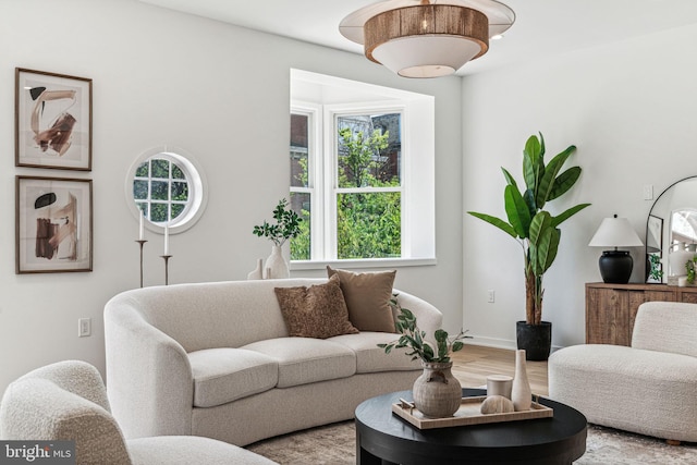 living room featuring hardwood / wood-style floors