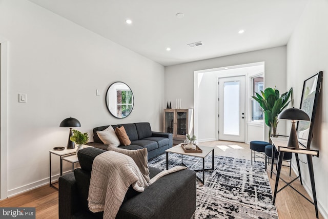 living room featuring hardwood / wood-style flooring