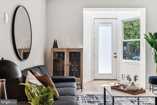 living room featuring a healthy amount of sunlight and light wood-type flooring