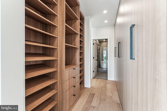 walk in closet with light hardwood / wood-style floors