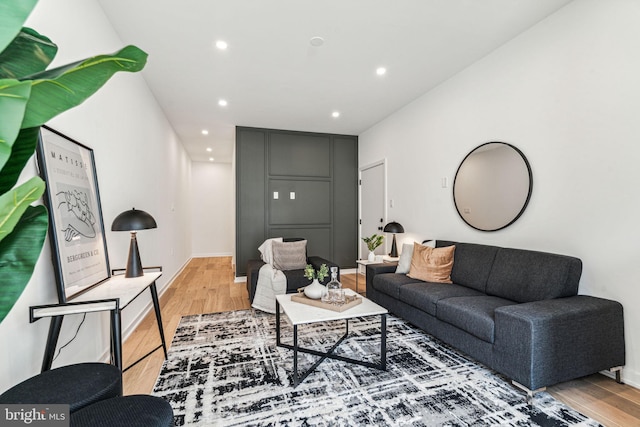 living room featuring wood-type flooring