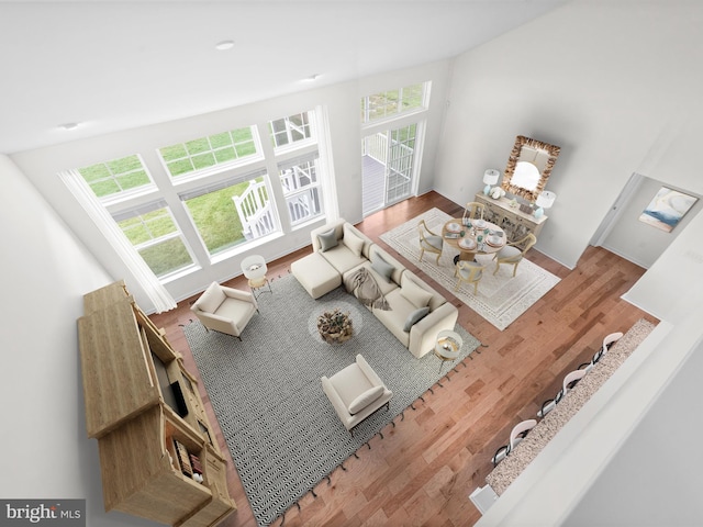 living room featuring a towering ceiling and hardwood / wood-style flooring