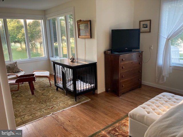 interior space with multiple windows, wood-type flooring, and a nursery area