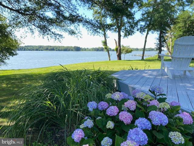 exterior space with a lawn and a water view