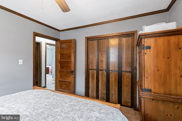 unfurnished bedroom with carpet, ceiling fan, and crown molding