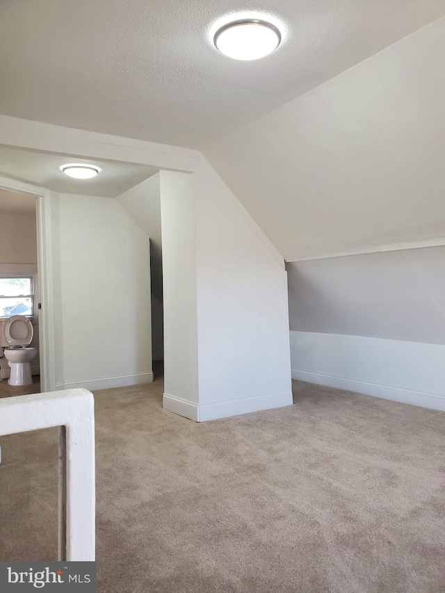 additional living space featuring light carpet, a textured ceiling, and vaulted ceiling