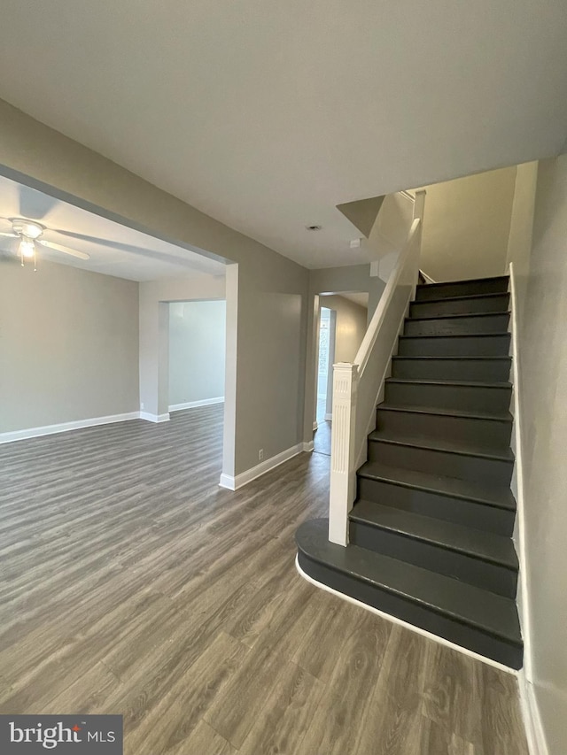 stairway featuring ceiling fan and hardwood / wood-style flooring