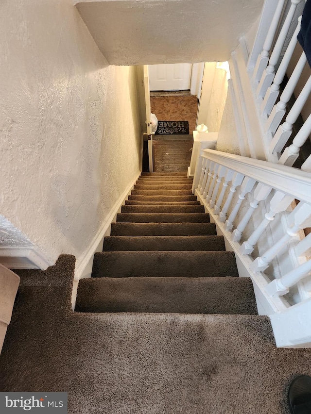 stairs with carpet flooring