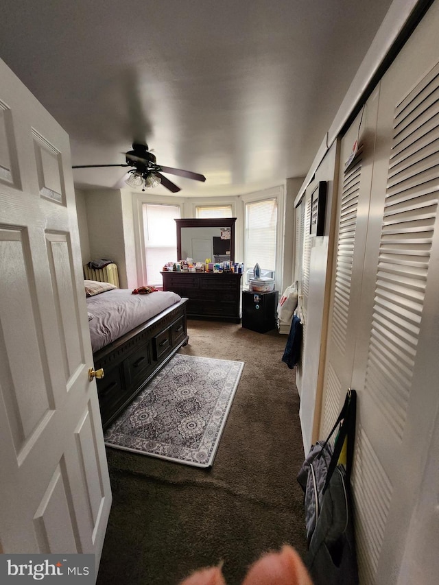 bedroom with ceiling fan and carpet floors