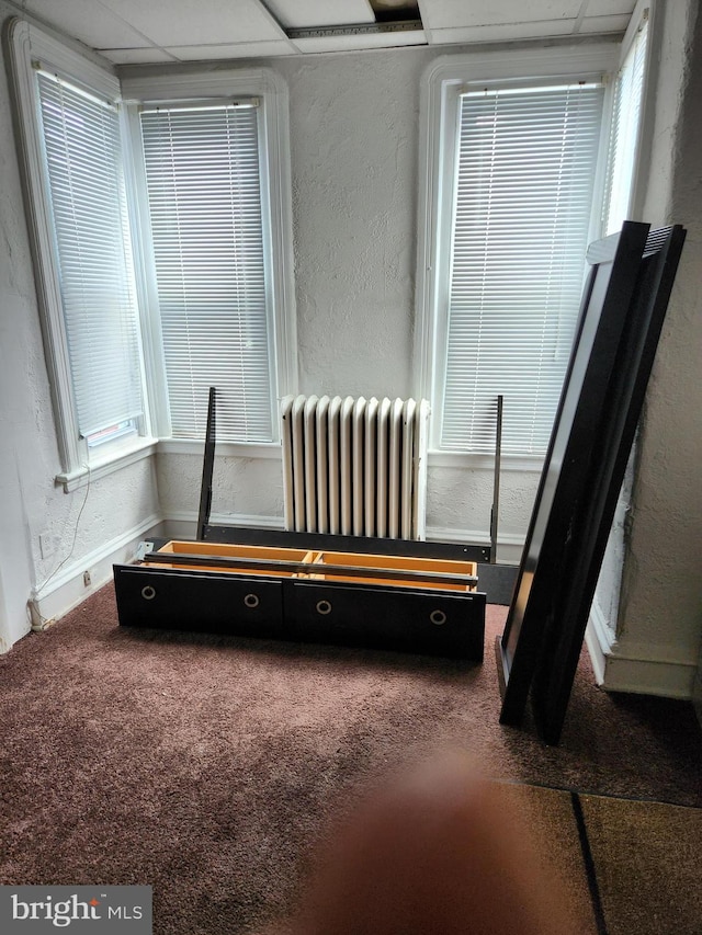 interior details featuring radiator heating unit and carpet