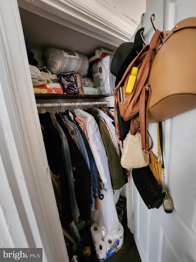 view of closet