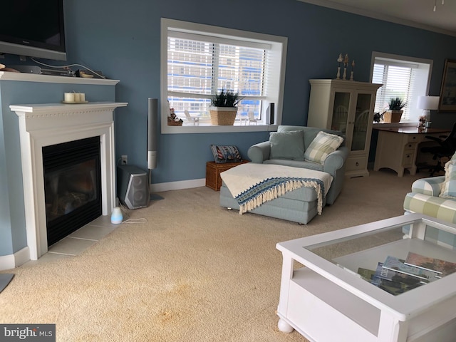 view of carpeted living room