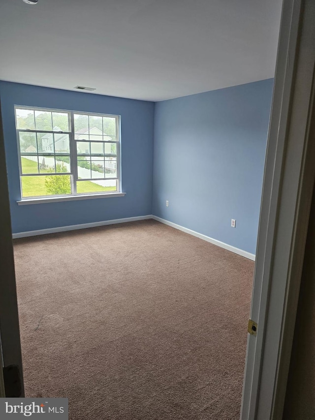 empty room featuring carpet floors