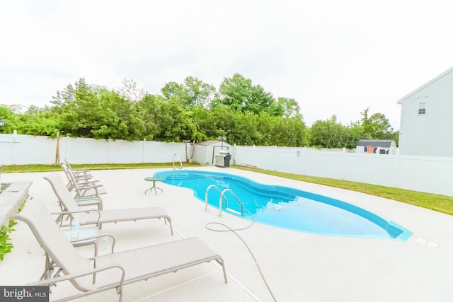 view of pool with a patio