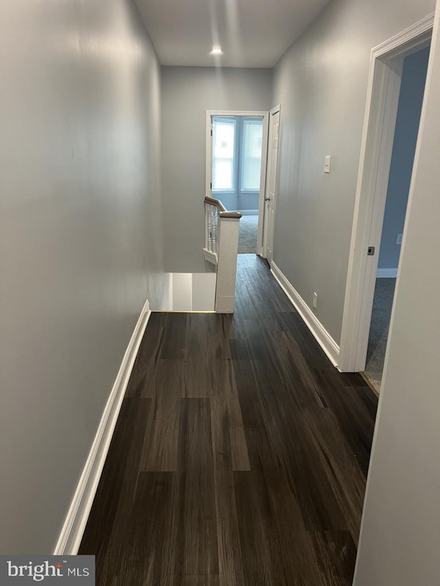 hallway featuring dark wood-type flooring