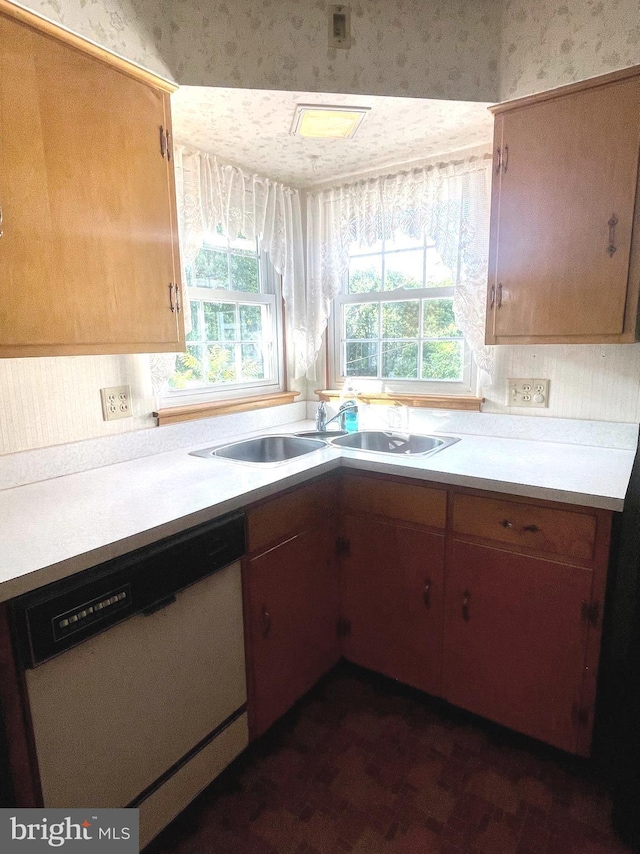 kitchen with dishwasher and sink