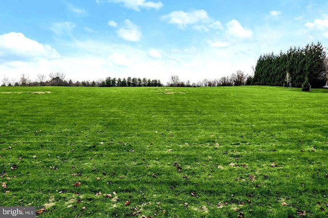 view of yard with a rural view