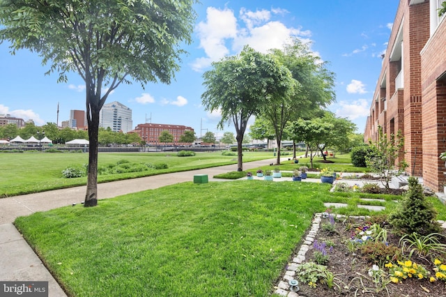 view of home's community with a yard