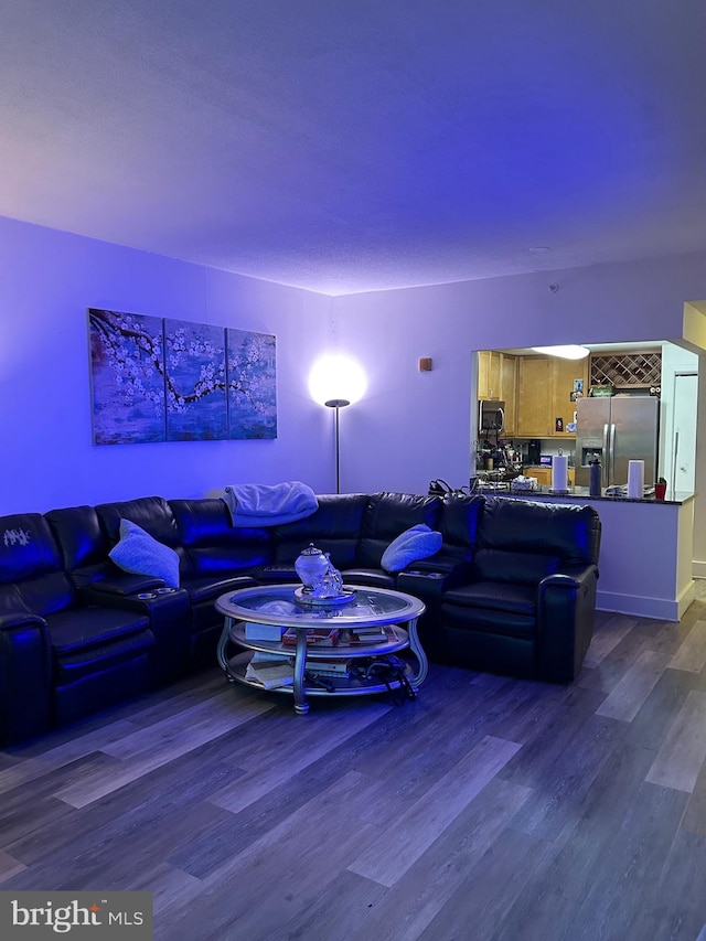 living room featuring wood-type flooring