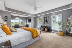 carpeted bedroom featuring multiple windows, ceiling fan, and a raised ceiling