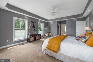 bedroom with carpet, a raised ceiling, and ceiling fan