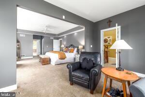 bedroom featuring carpet flooring