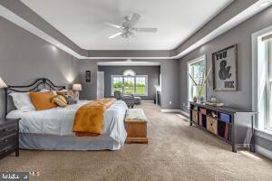 bedroom with ceiling fan, a raised ceiling, and carpet flooring