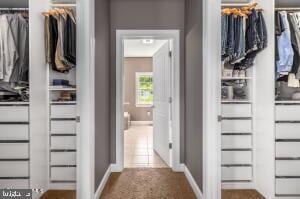 view of closet