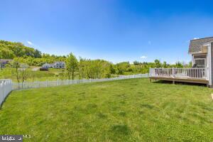 view of yard featuring a deck