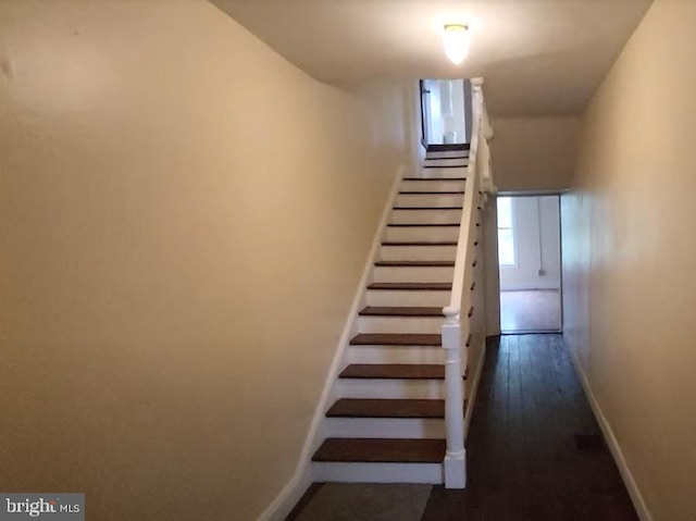 stairs featuring hardwood / wood-style floors