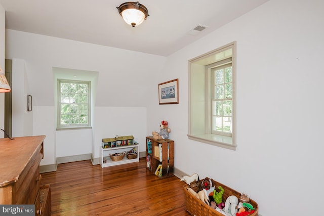 game room featuring a healthy amount of sunlight and hardwood / wood-style flooring