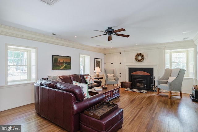 living room with plenty of natural light, ceiling fan, crown molding, and wood-type flooring