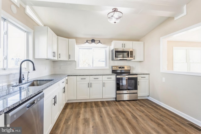 kitchen with sink, a healthy amount of sunlight, hardwood / wood-style floors, and appliances with stainless steel finishes